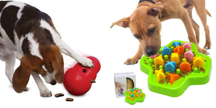 Juguetes para perros -blog -gosygat