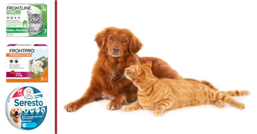 Diferencias entre pipetas, collares y pastillas para perros y gatos | GOSYGAT