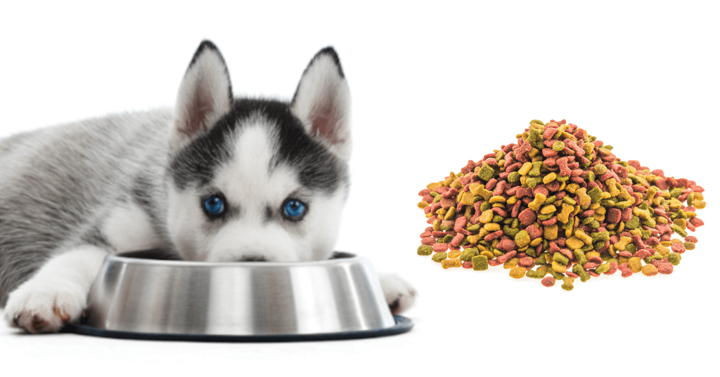 Cuánto debe comer un perro al día Guía según peso, edad y tamaño. gosygat